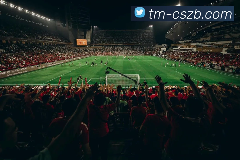 彩神争霸服务体系